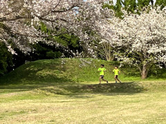 200m中学生1.jpg