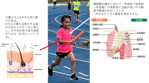 H子の有利な点.jpg