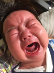 真っ赤な赤ちゃん.jpg
