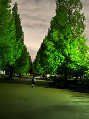 4月26日舎人公園2.jpg