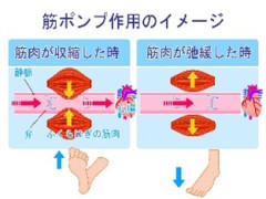 ポンプ.jpg