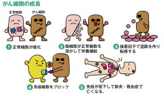 がん細胞の成長.png