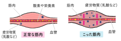 リディアードの疲労感.png