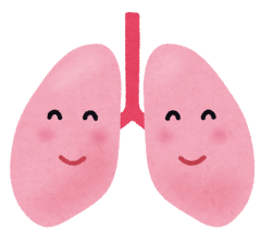 肺.png