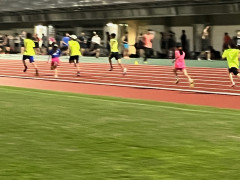 IMG_8033.jpg