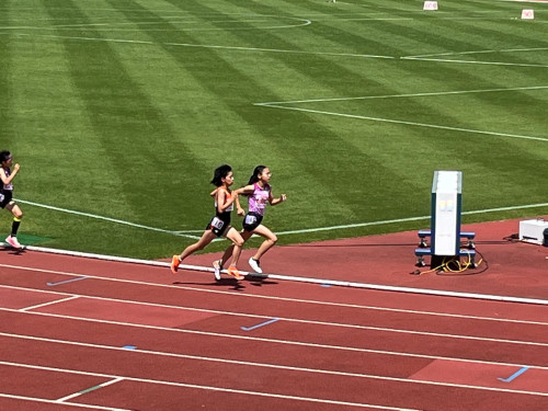 IMG_8106.jpg