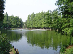 49519_ext_6_0.jpg