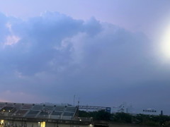 IMG_0873.jpg