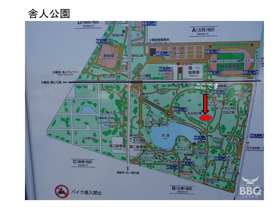 日曜日クラス（短距離）