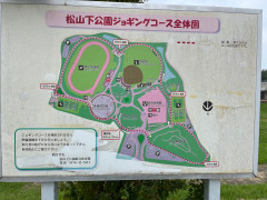 IMG_0250.jpg