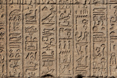 hieroglyphic-carvings-ancient-egyptian-temple_771380-736.jpg