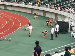 IMG_2599.jpg