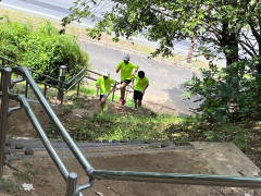 IMG_2704.jpg
