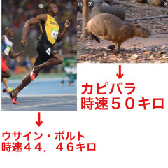 20200701054551_e708.jpg