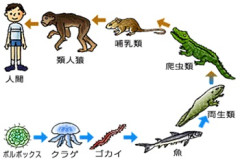 E980B2E58C96.jpg
