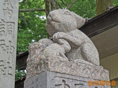 DSC02959.jpg