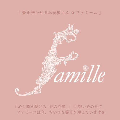 ❁⃘ ファミーユからのお知らせ ❁⃘