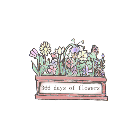 366 days of flowers