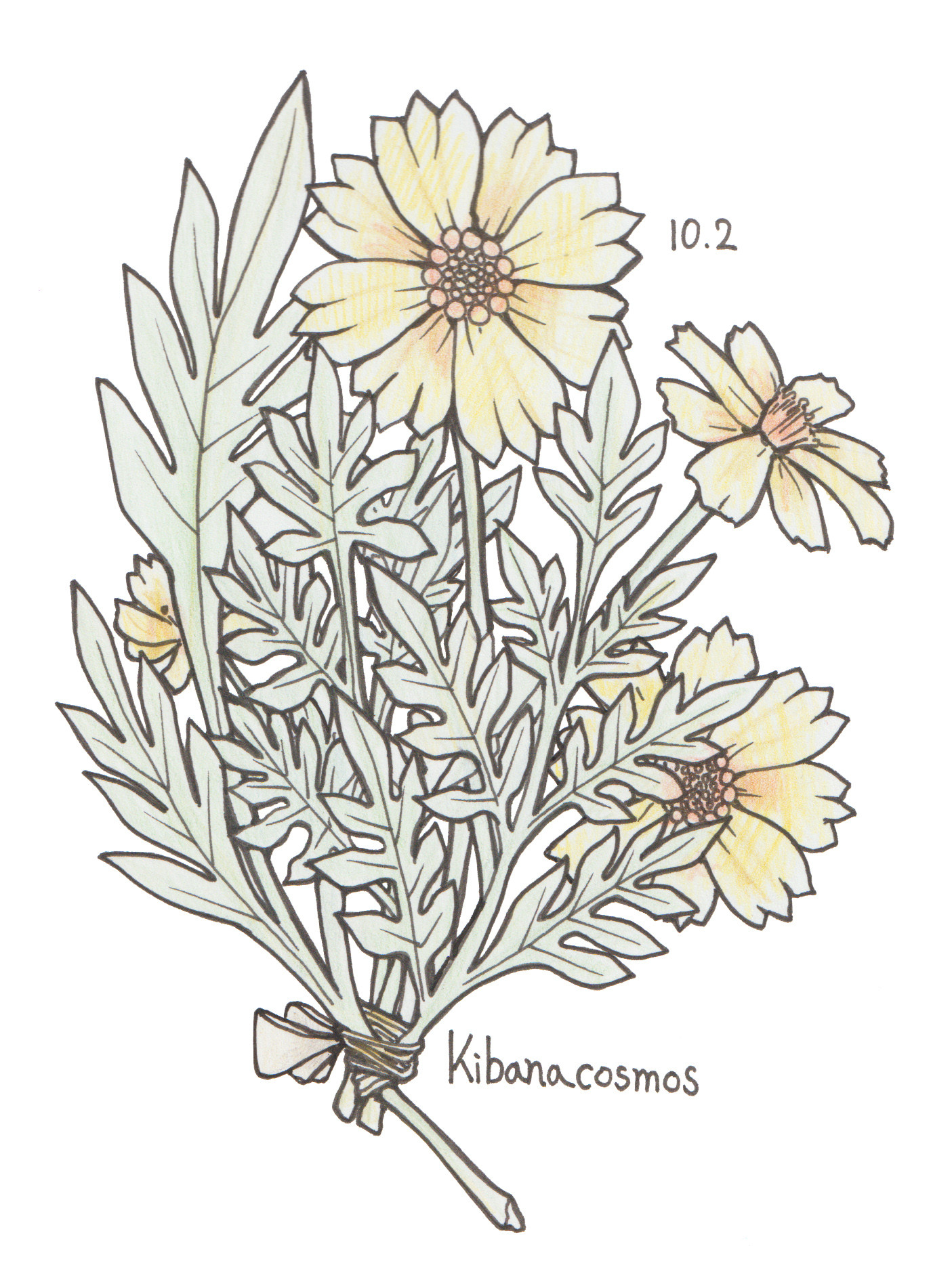 10月2日