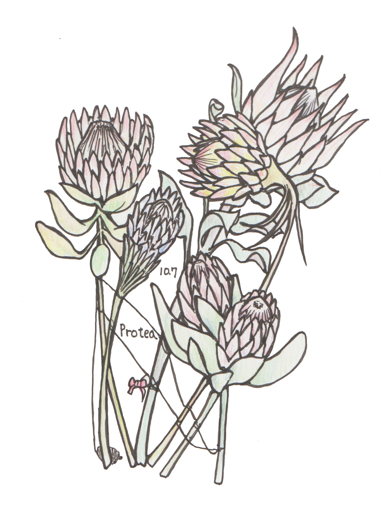 10月7日