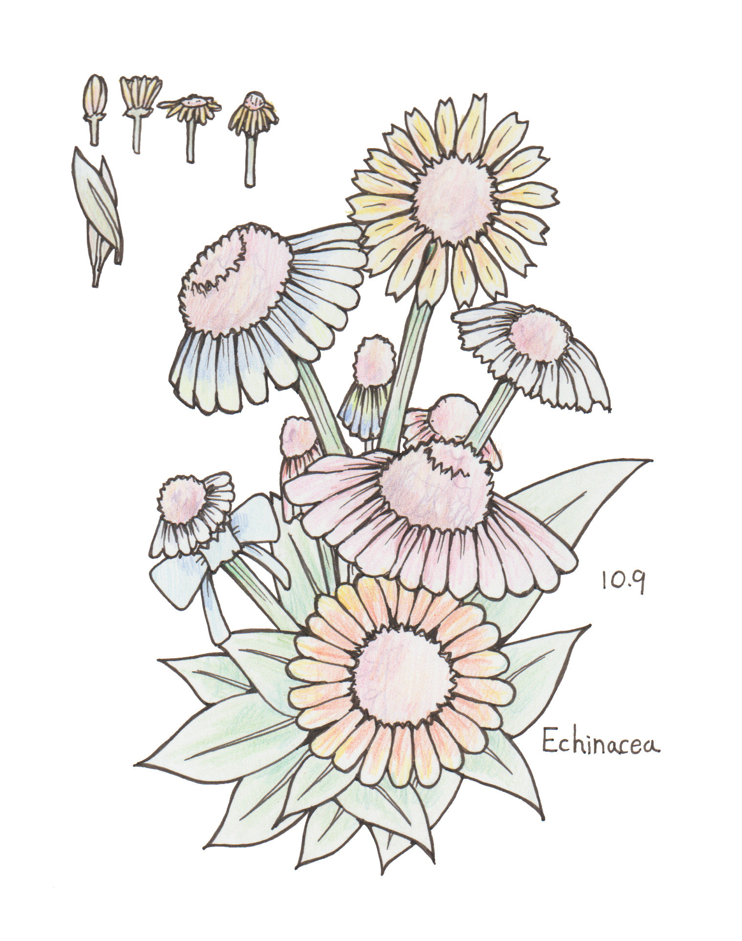 10月9日