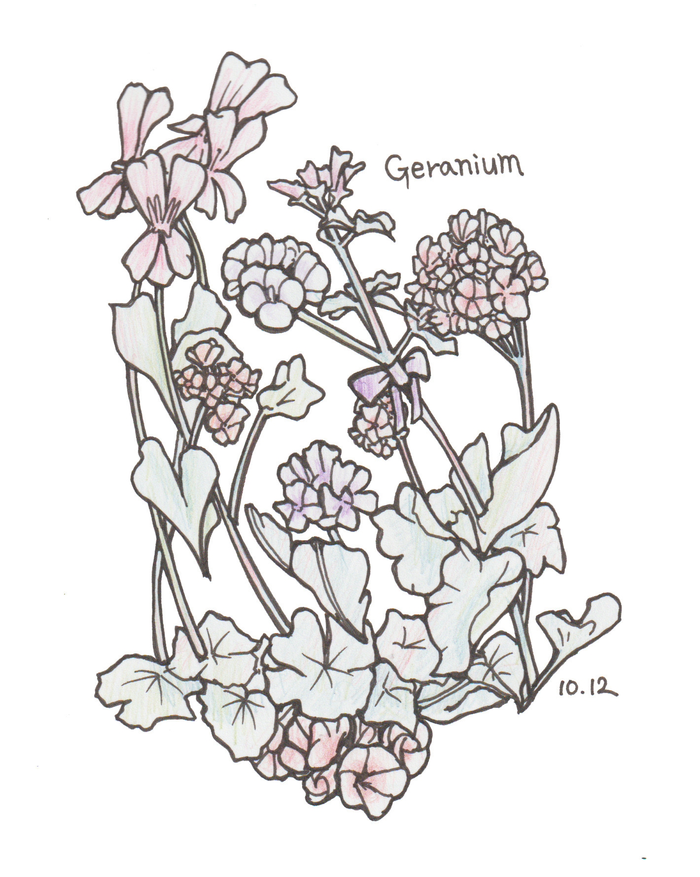 10月12日