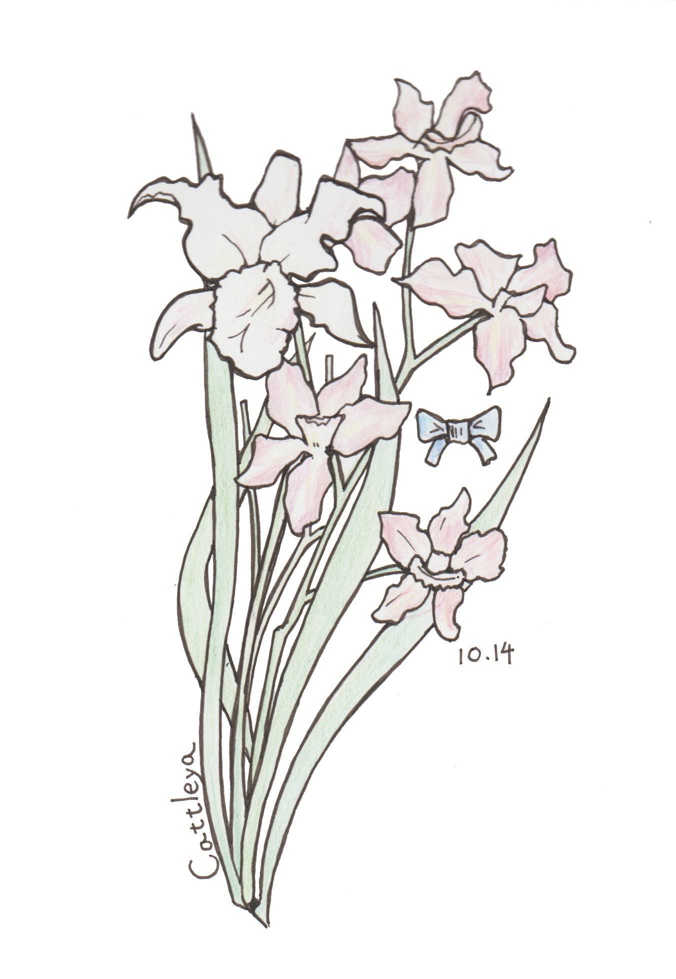 10月14日