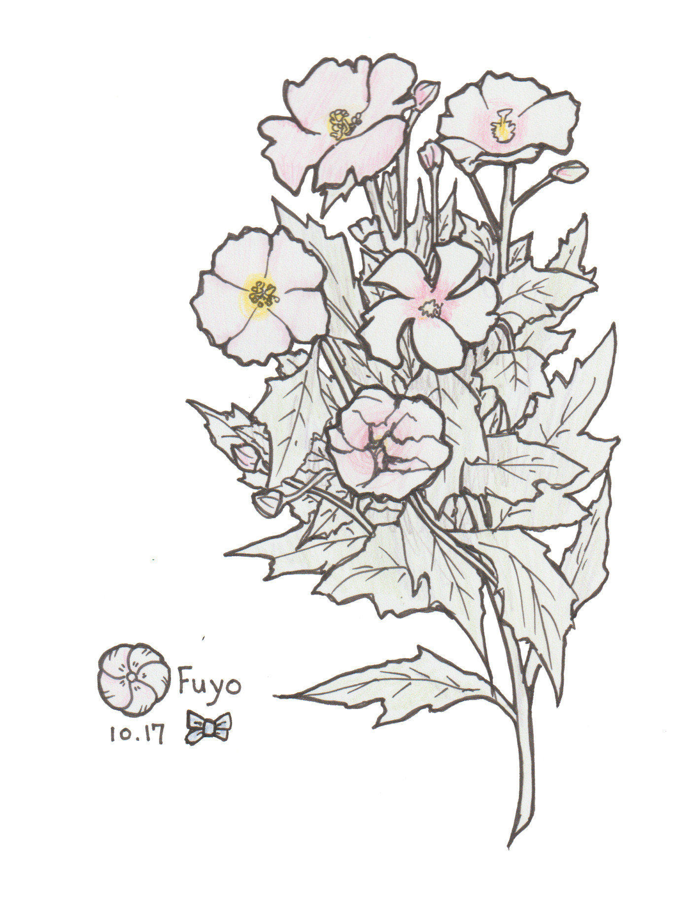 10月17日