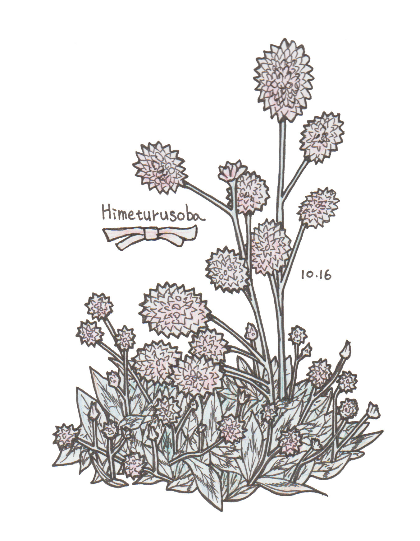 10月16日