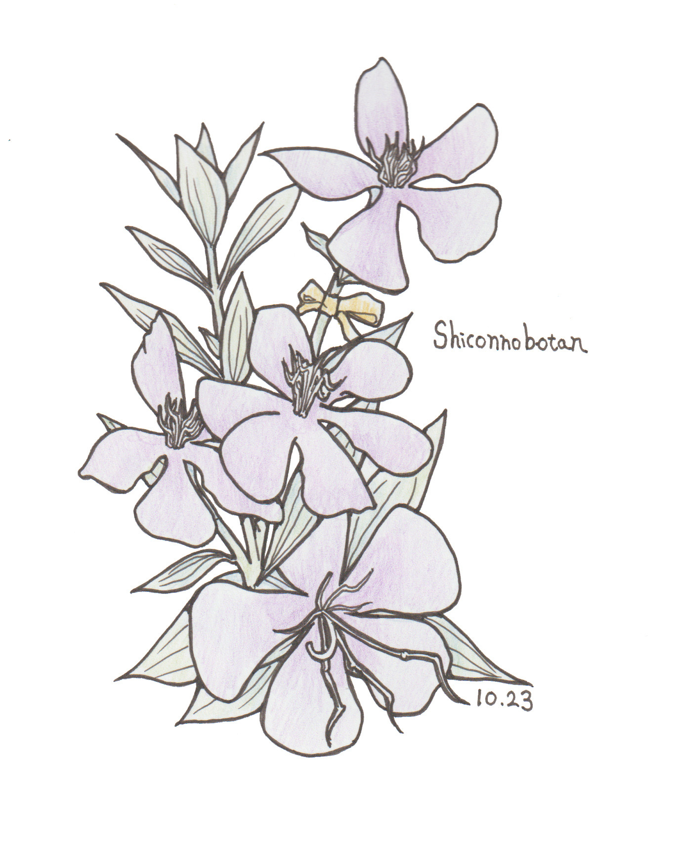 10月23日