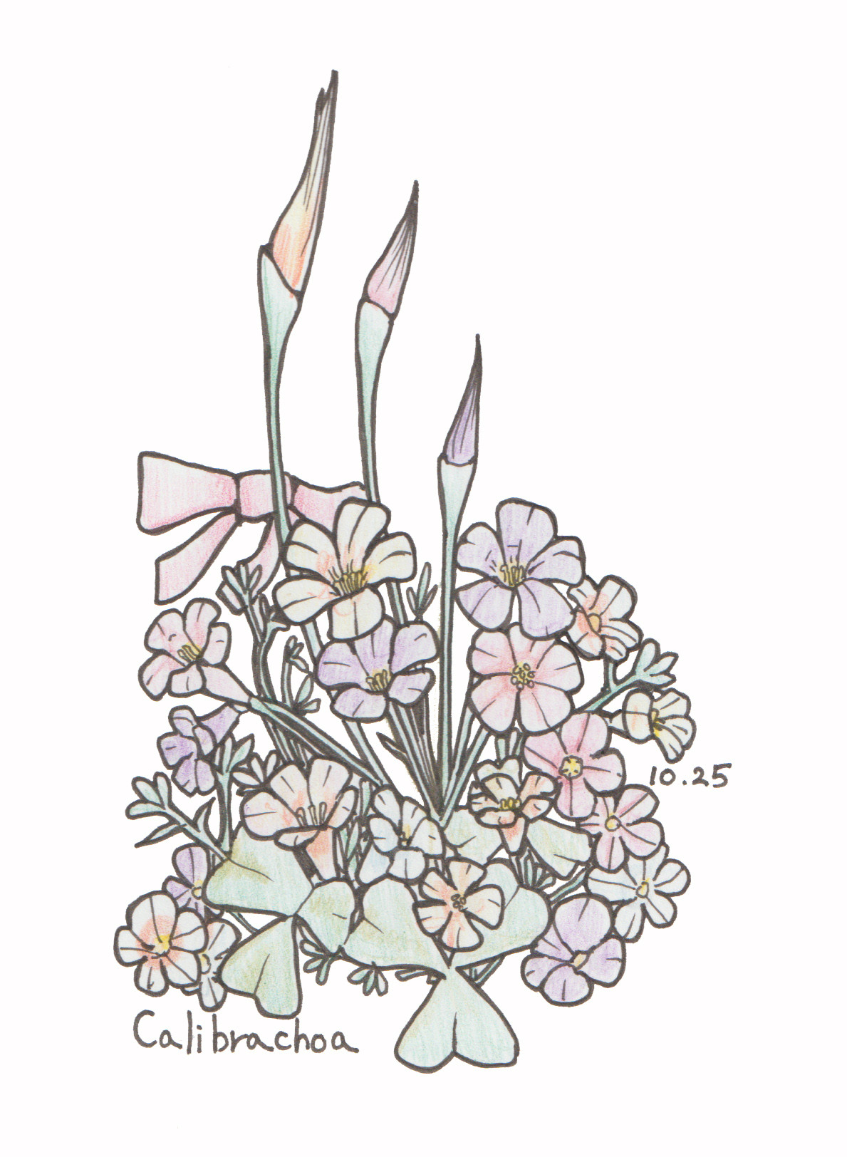 10月25日