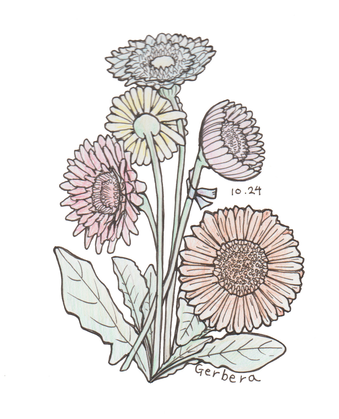 10月24日