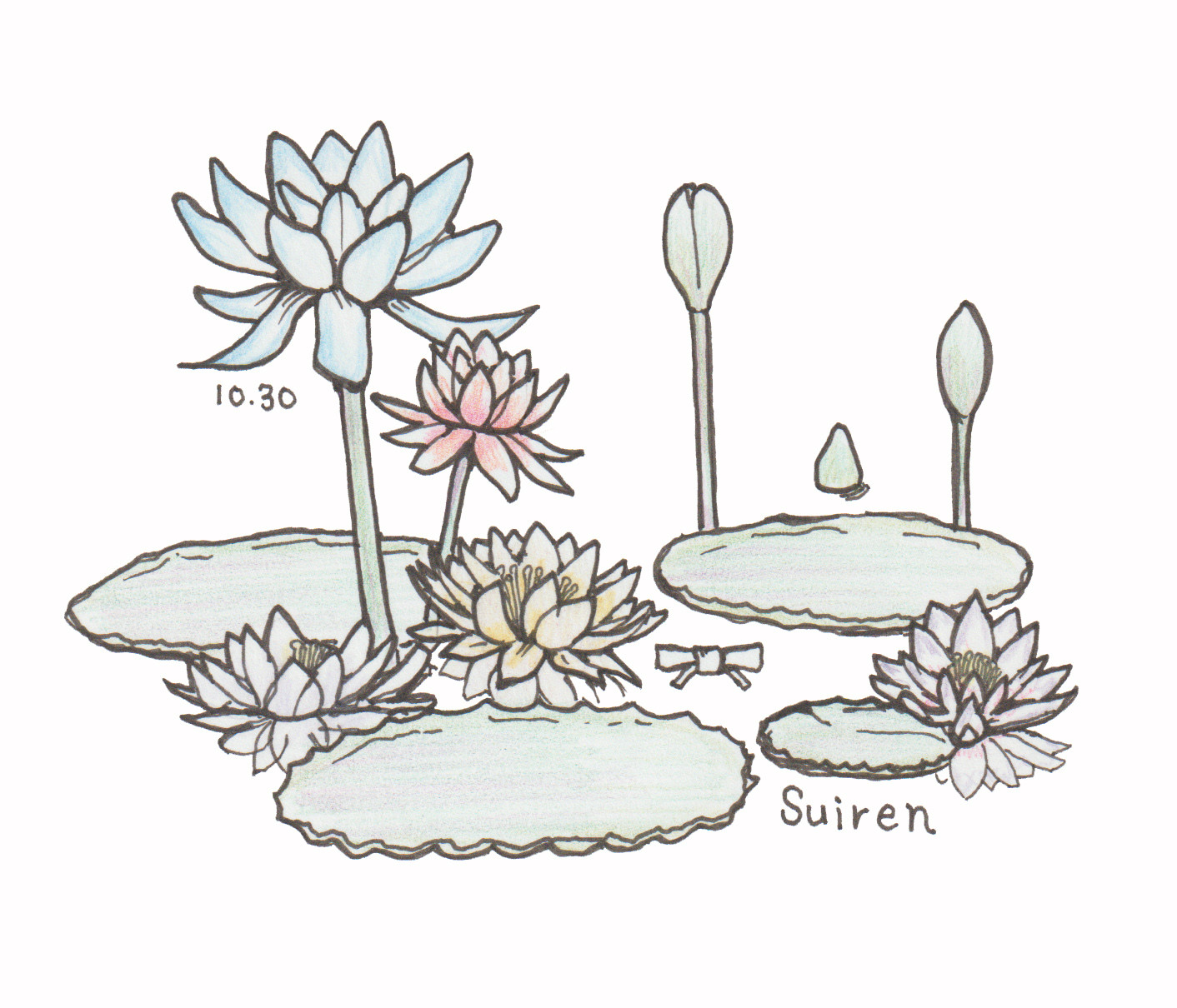 10月30日