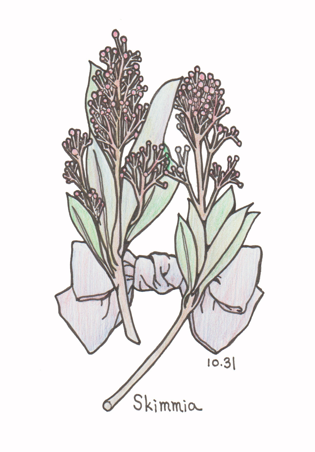 10月31日