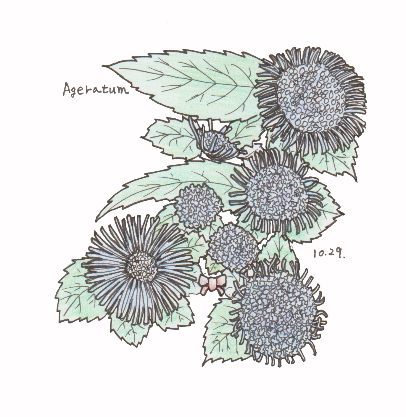10月29日