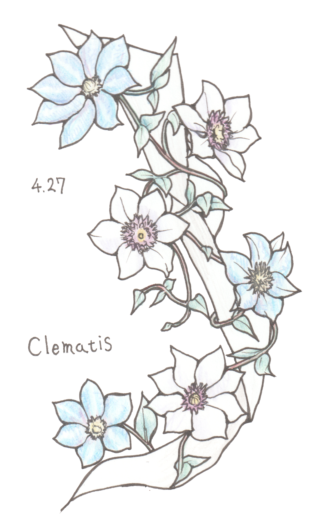 4月27日