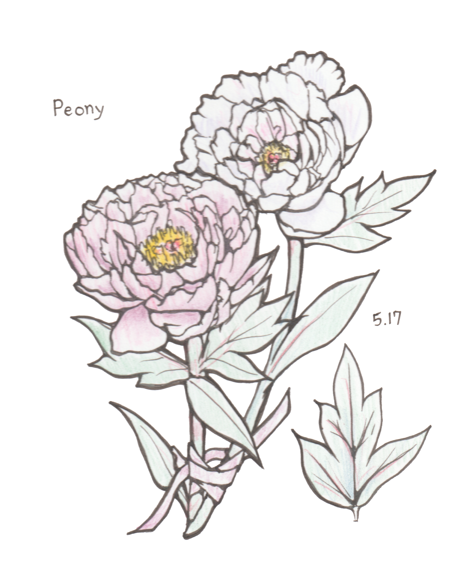 5月17日