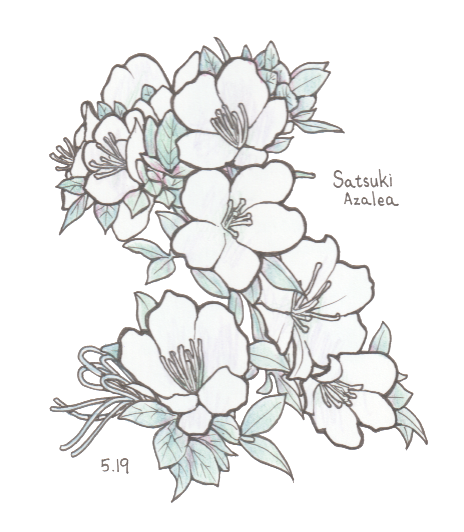 5月19日