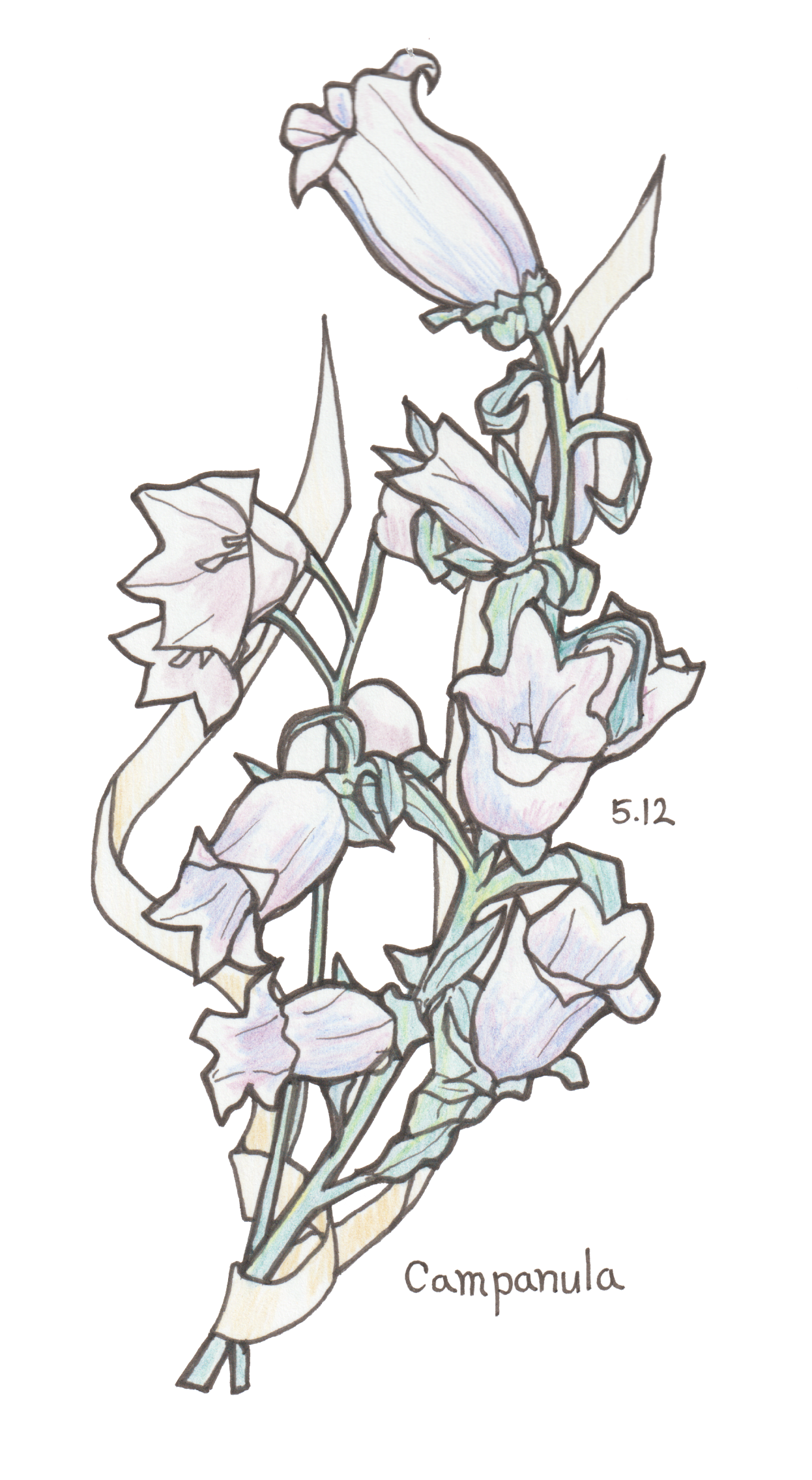 5月12日