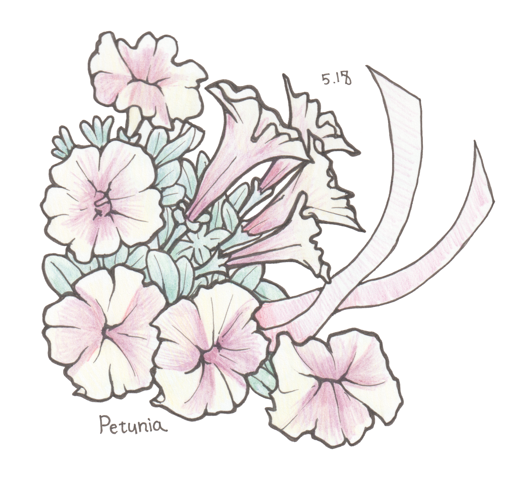 5月18日