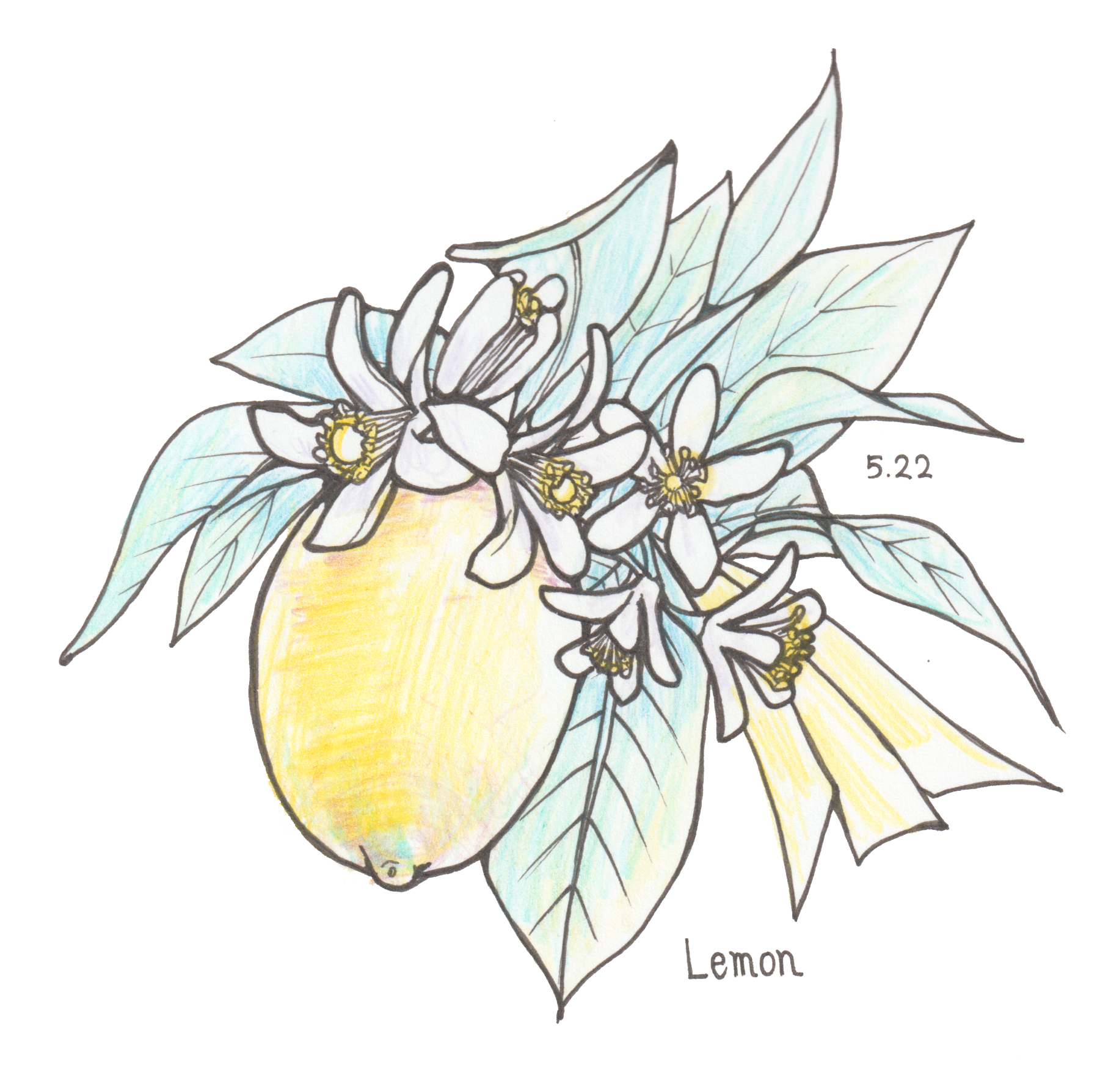 5月22日