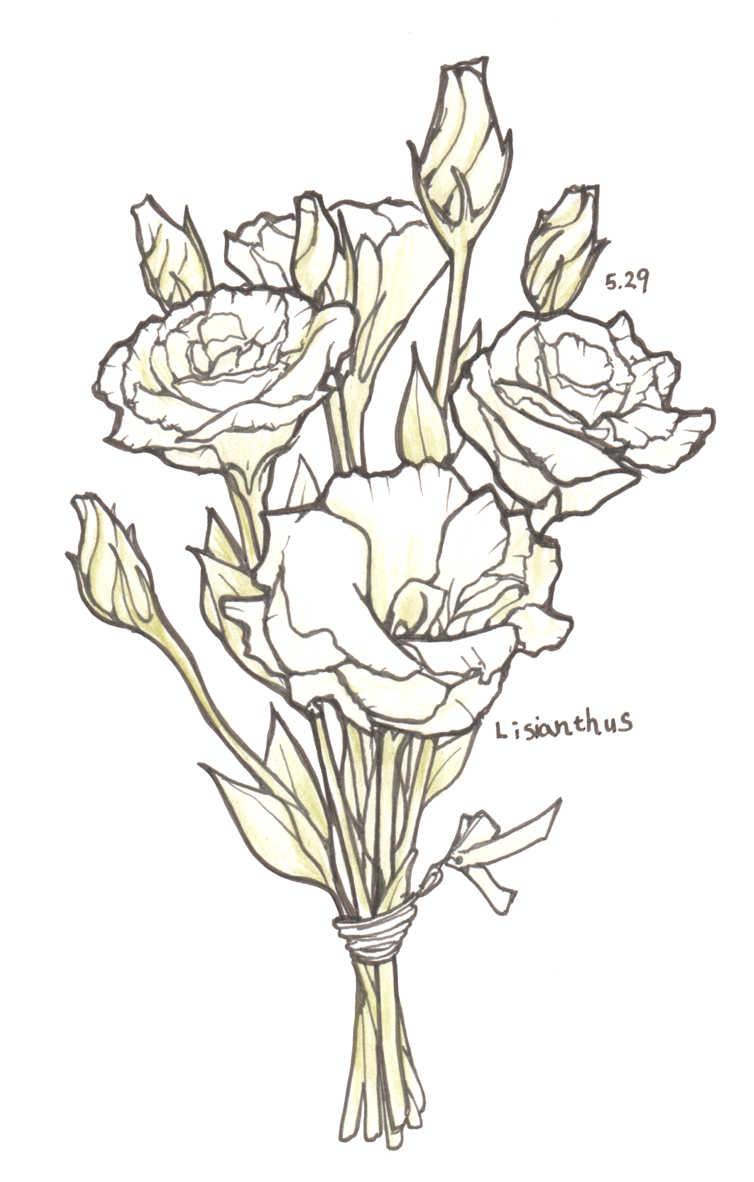 5月29日