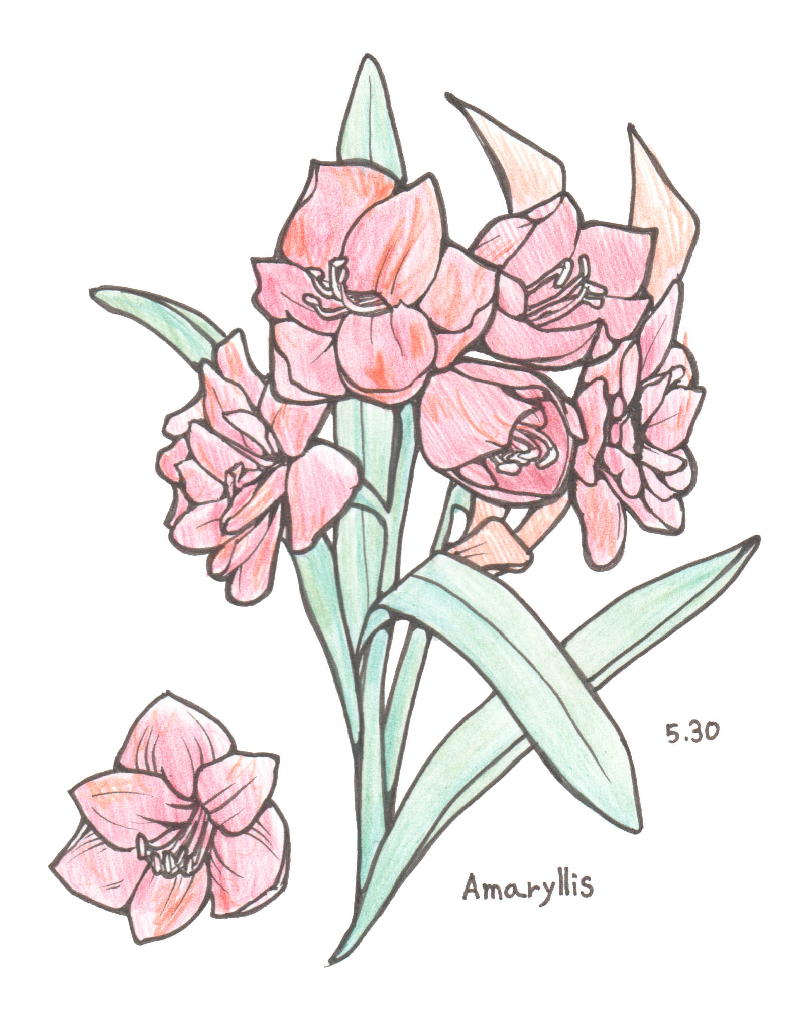 5月30日