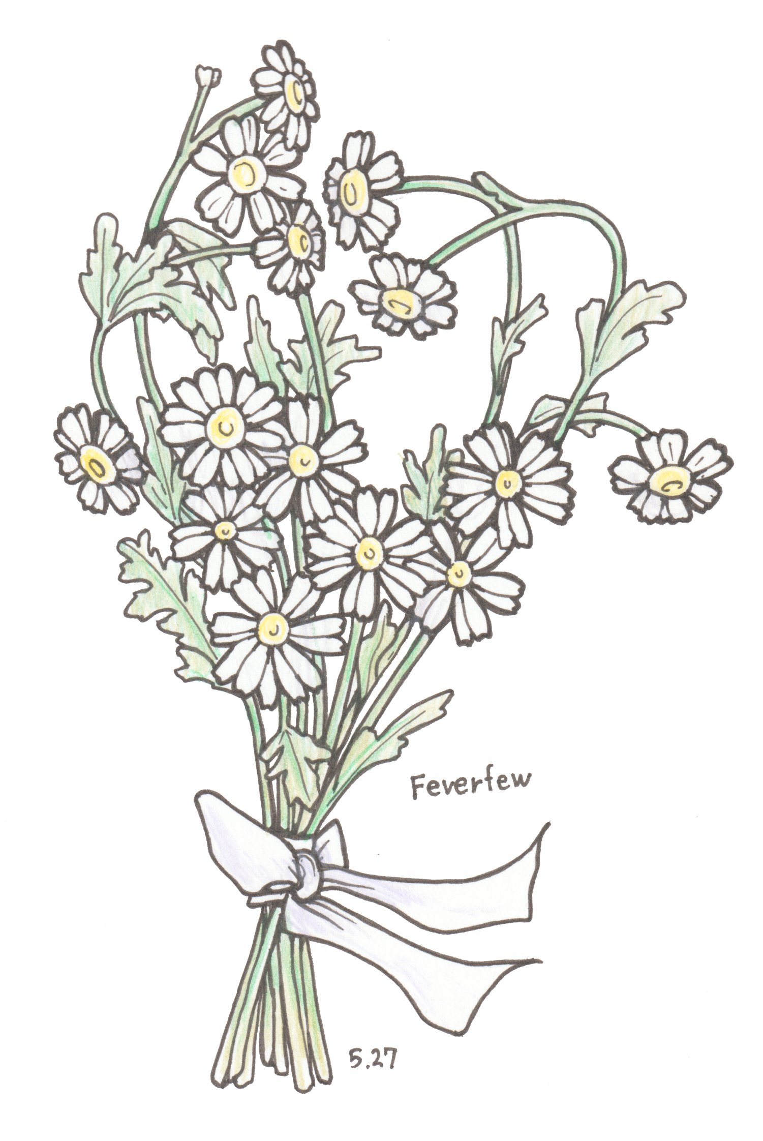 5月27日