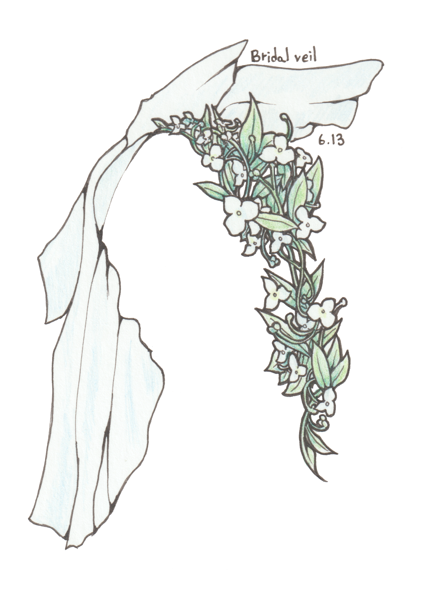6月13日