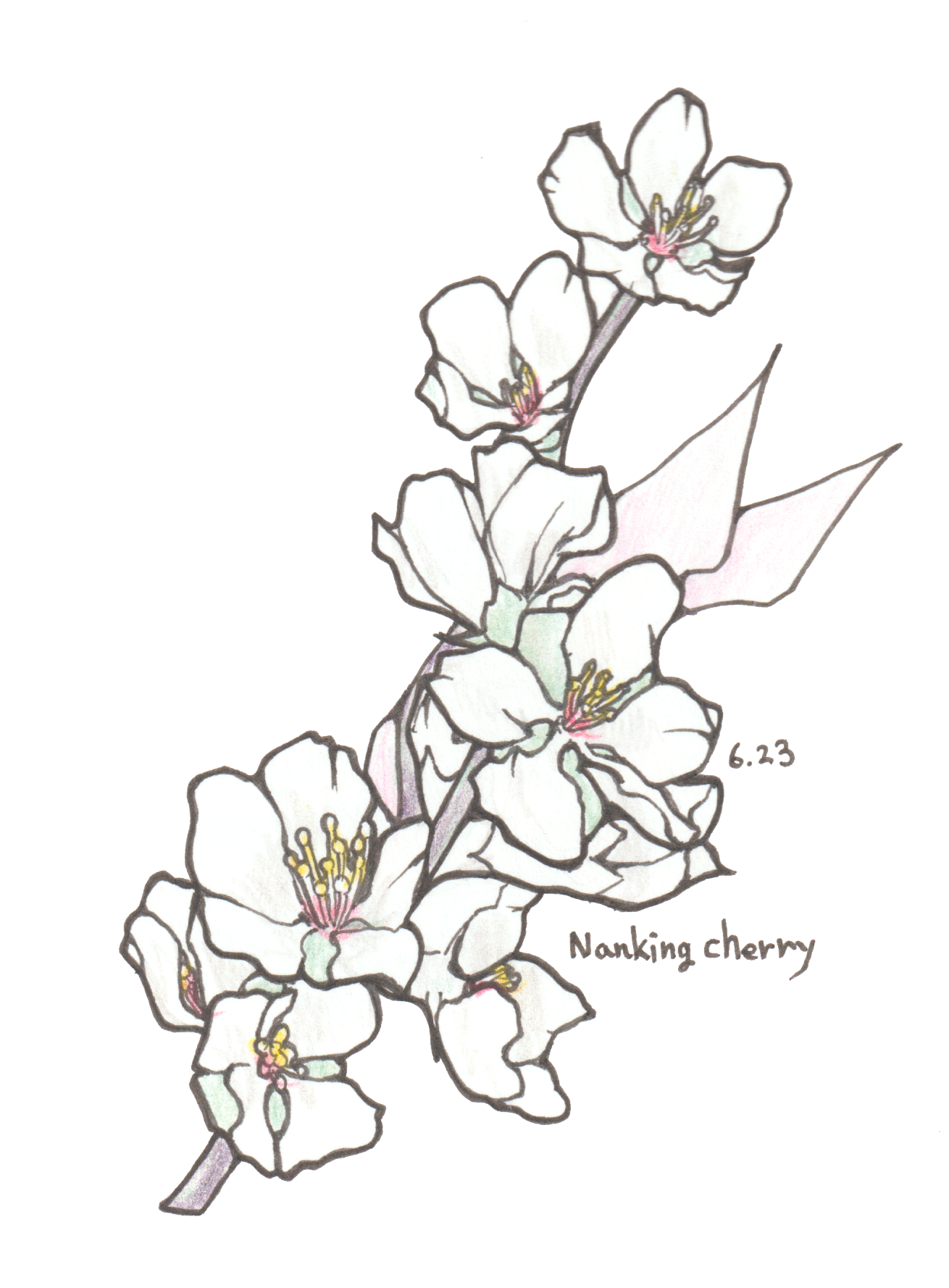 6月23日