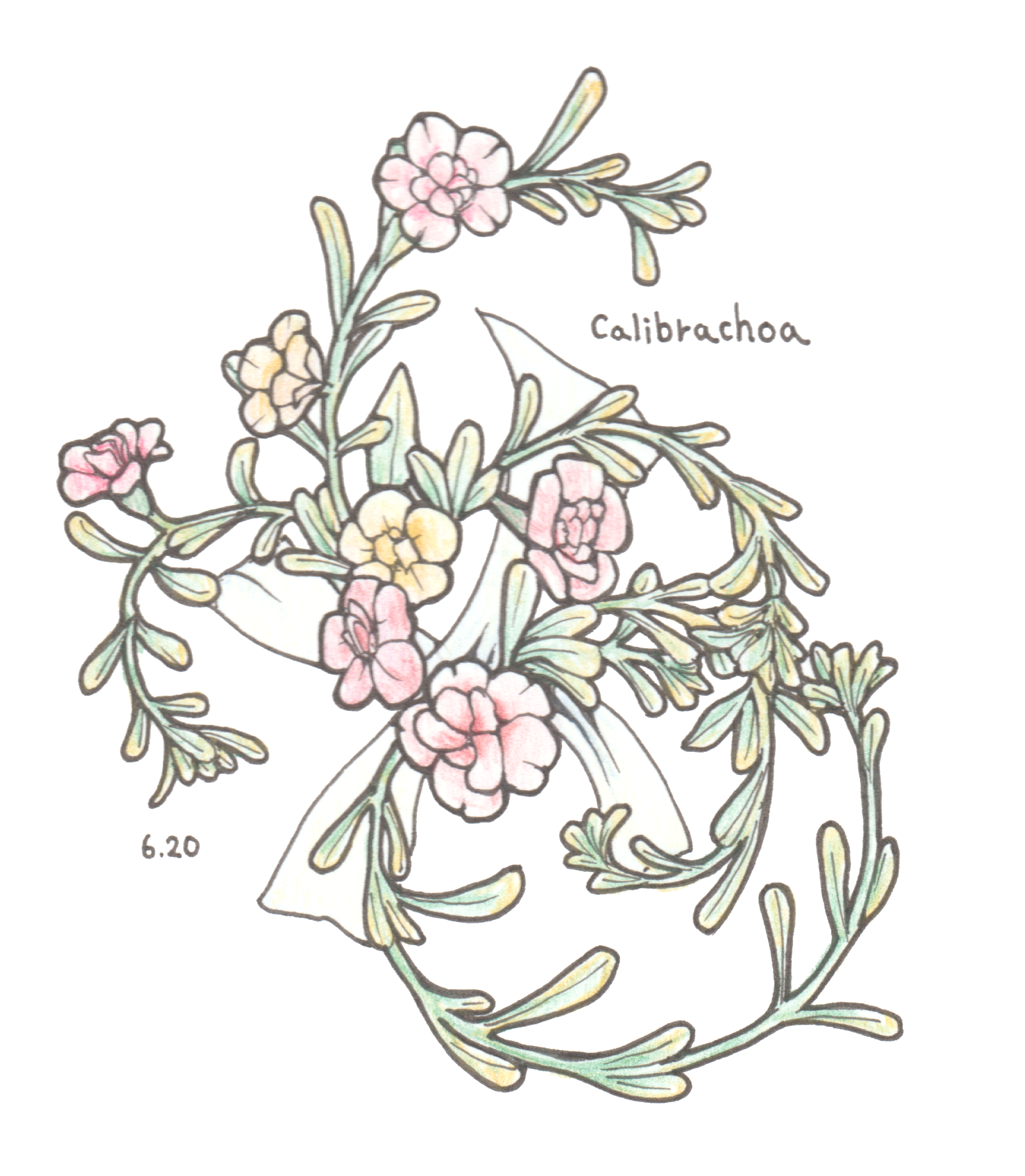 6月20日