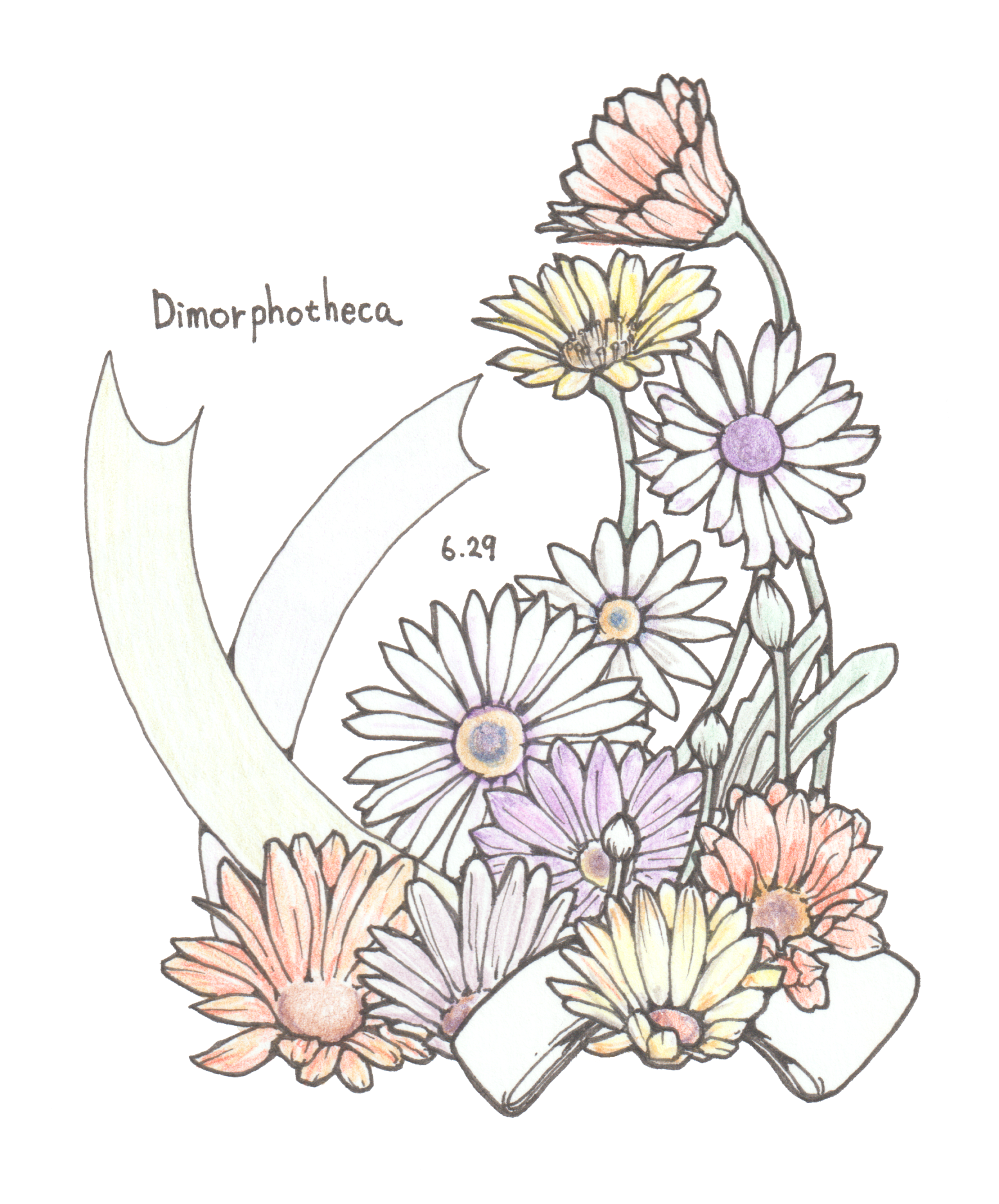 6月29日