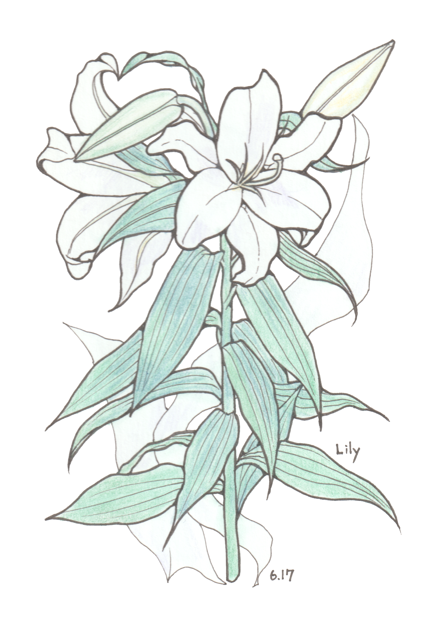 6月17日