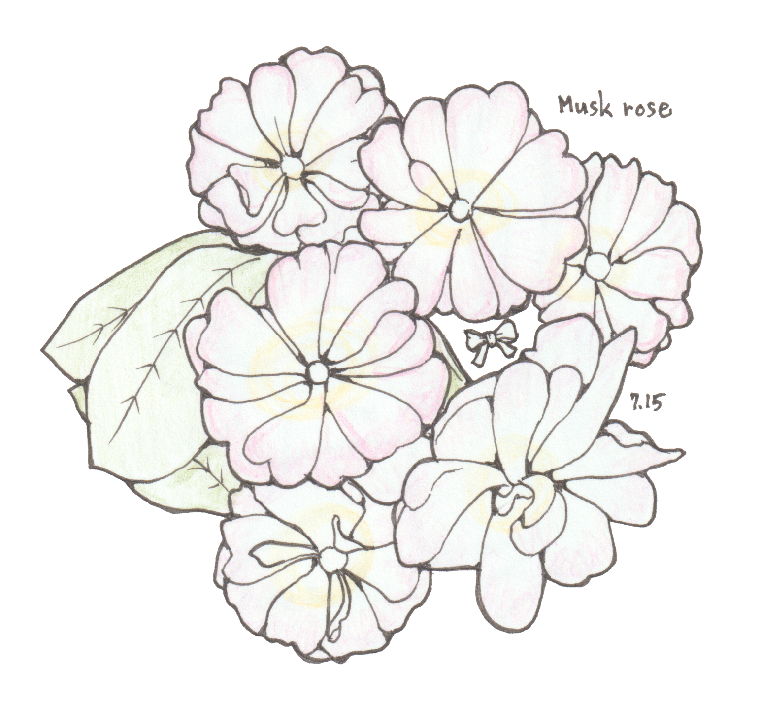 7月15日